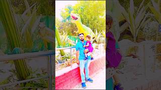 Anaya ke piche dinosaur 🦕 pad gya 👆😳🙏 dangerous dinosaur emotional ytshort sadanimalfacts [upl. by Otrepur]