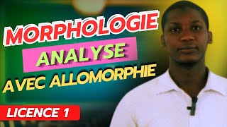 Analyse en Morphème  Avec Allomorphie [upl. by Adkins722]