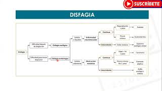 GASTROENTEROLOGÍA Disfagia  Estudios MYC [upl. by Maia]