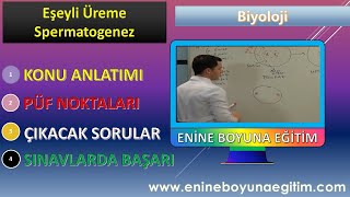 Biyoloji Ders5 Biyoloji Eşeyli Üreme Konu ve Spermatogenez Konu Anlatımı ve Soru Çözümleri [upl. by Tray293]