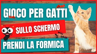 Gioco per gatti insetti  Giochi per gatti sullo schermo  Videogioco solo per gatti caccia [upl. by Adniram]