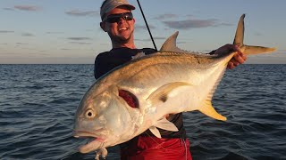 Mullet Mania at Crandon Park [upl. by Zaria]