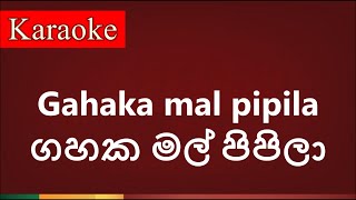 Gahaka mal pipila  ගහක මල් පිපිලා   Karaoke Version [upl. by Tirb]