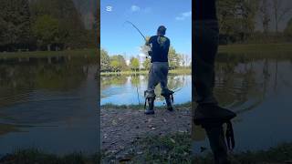 PESCA allo STORIONE al 100 PERTICHE fishing fishingvideo sturgeon [upl. by Erdeid]