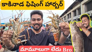 Cheapest Fish Market in AP కాకినాడ ఫిషింగ్ హార్బర్ కి వచ్చా  Kakinada Fishing Harbor vlog [upl. by Gonzales]