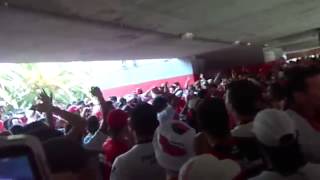 Nuevo tema de Newells  Vivo fumando yerba tomando vino  Vivo Los Moycanos [upl. by Althee374]