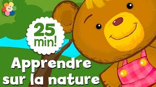 Apprendre sur la nature  Dessins animés éducatifs pour les enfants  BabyFirst [upl. by Hales]