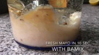 Mayonnaise with bamix in 10 seconds [upl. by Clite264]