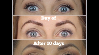 My Microblading Experience  Eyebrows  LisaSz09 [upl. by Bevis856]