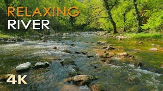 4K Relaxing River  Ultra HD Nature Video  Water Stream amp Birdsong Sounds  SleepStudyMeditate [upl. by Eskill426]