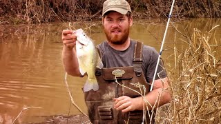 Epic Crappie Fishing from the Bank Part 2 [upl. by Ellora]