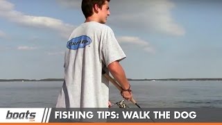 How to Fish Walking the Dog [upl. by Akfir]