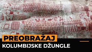 Od uzgoja koke do ekoturizma Preobražaj kolumbijske džungle [upl. by Natehc156]