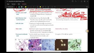 microbiology 3 usmle step 1 revision [upl. by Ayamahs]