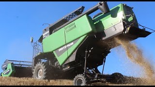 Deutz Fahr 6060 HTS Climber  Trebbiatura 2015 Az Agr Pedicone [upl. by Tadeo]