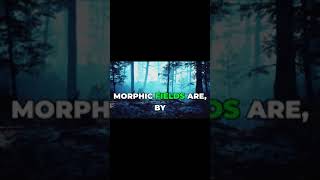 Hidden Truth The Morphic Field Controversy shorts mind [upl. by Lizned]