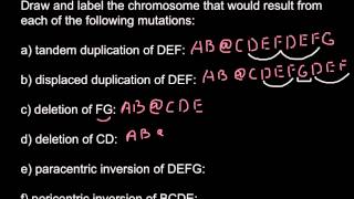 Types of chromosomal mutations [upl. by Harrell712]