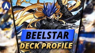 PEW PEW WAIFU BeelStarmon amp Garurumon Deck Profile amp Combo Guide  Digimon Card Game EX5 [upl. by Kaden19]