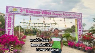 famous bougainvillea flower festival at sarangani highlands gensan [upl. by Aekal]