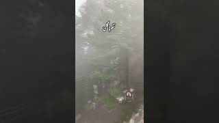 Nathia Gali Murree travel mountains love [upl. by Dinerman706]