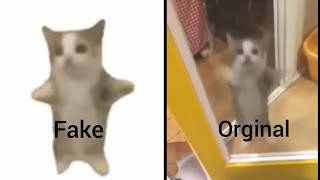 Happy Cat Meme Fake vs Original [upl. by Savory770]