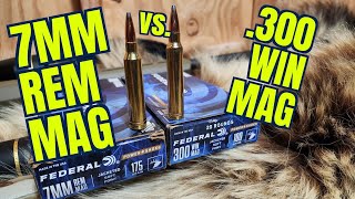 7mm Remington Magnum vs 300 Winchester Magnum Federal Powershok [upl. by Aseret]