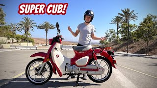 I bought a Honda Super Cub [upl. by Eelytsirk]