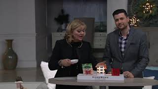 HomeWorx by Harry Slatkin FragranceWarmer with 2 Sleeves and 12 Gelables on QVC [upl. by Sadie]