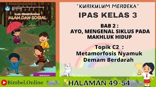 IPAS Kelas 3 Bab 2 Topik C2  Metamorfosis Nyamuk Demam Berdarah  Halaman 4954 Kurikulum Merdeka [upl. by Aicnarf]