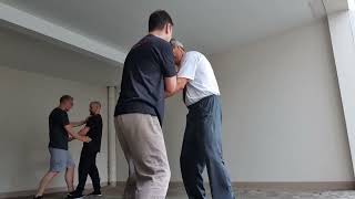 Ving TsunKung Fu Training August 2024 [upl. by Anaiq]