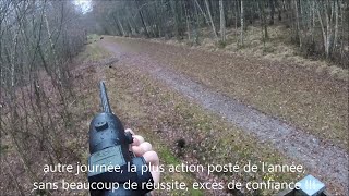 Résumé Saison de chasse 20182019 avec cervidés chevreuils sangliers faisans canards et pigeons [upl. by Sumer]