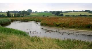 River Stour Suffolk [upl. by Xed437]