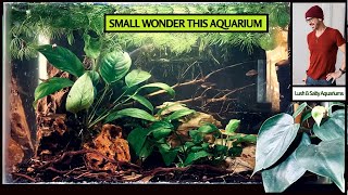 Nano Aquarium Unbelievable Small Wonder [upl. by Dnana]