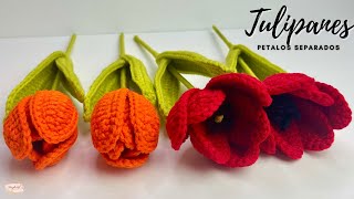 Tutorial Tulipanes Tejidos  Abiertos Y Cerrados  Pétalos Separados 💜Mayelin Ros [upl. by Vaclav]