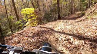 Fall in Dahlonega GA Mountain Moto Trail Ride [upl. by Ennoryt693]