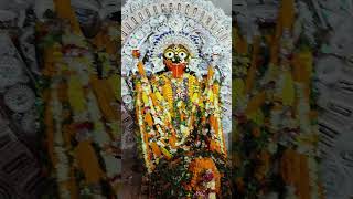 Maa kamarupabirapratap purpurikali Puja 🙏🙏❤️🪔 [upl. by Vander]