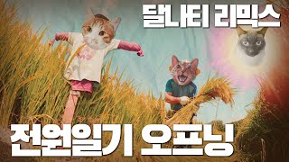 전원일기 오프닝 리믹스 cat remix Cats sing song [upl. by Frasquito]