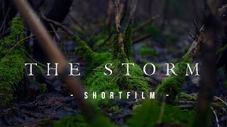 THE STORM  A cinematic shortfilm  Lumix Gx9 [upl. by Ainej]