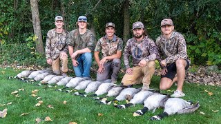 5 MAN LIMIT Goose Hunting Southern Wisconsin [upl. by Yeargain]