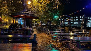 City Centre Limerick  Night Life Of Limerick  People’s Park  Shannon River [upl. by Annatnom236]