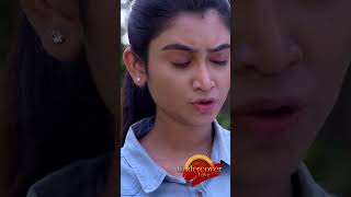 Zee World Shorts Undercover Love  July  Deepthi Manne Darsh Chandrappa [upl. by Nielsen]