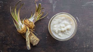 How to Make Prepared Horseradish From Roots [upl. by Hsekin285]