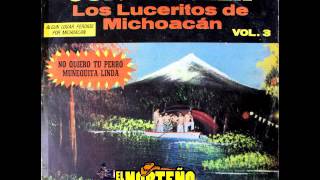 LOS LUCERITOS DE MICHOACAN NO QUIERO TU PERRO [upl. by Mraz787]