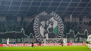 Olimpija 20 LASK reaction in thr Europa Conference league [upl. by Jegar573]