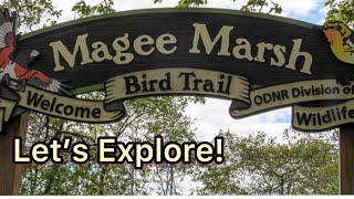 Exploring MaGee Marsh With Friends Come Along With Us On The Shores Of Lake Erie [upl. by Cut]