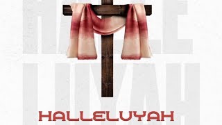 Boakye Mingle ft Holy Assassin  Hallelujah Official Lyrics Video [upl. by Lord]