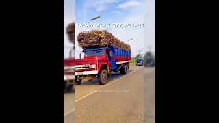 Kabankalan City Season of Sugarcane Harvest  Truck Hauler sa Negros [upl. by Phoebe]