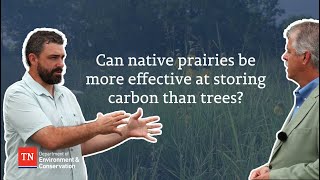 Can native prairies be more effective at storing carbon than trees [upl. by Llerred]