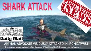 Diver Viciously Attacked by Sharks in South Africa [upl. by Leftwich]