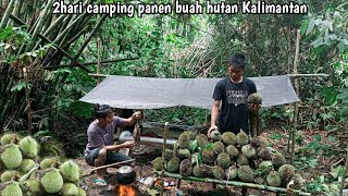 2hari camping fishing and panen buah durian hutan Kalimantan [upl. by Ahsinev544]